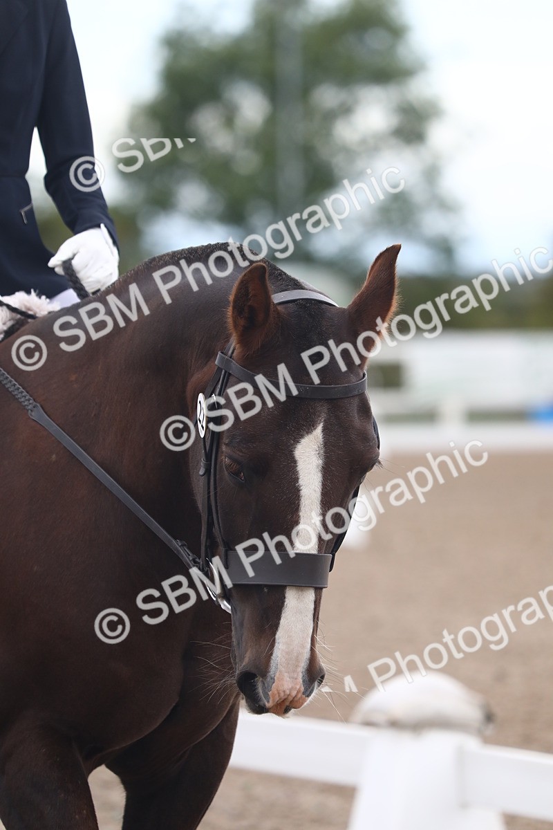 SBM_00141 - Class 34A+B Prelim 3