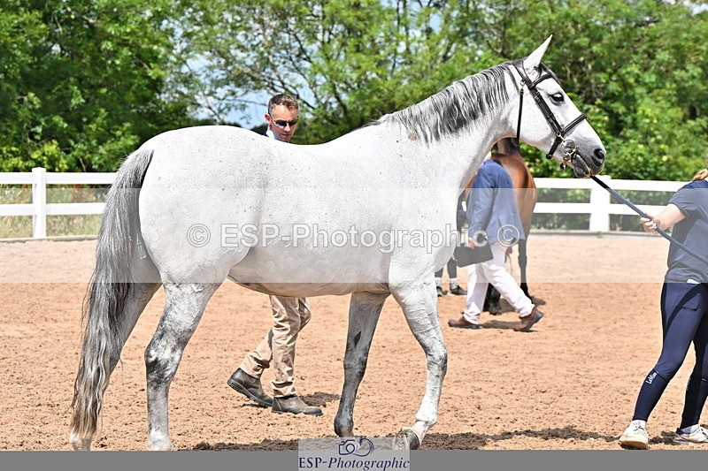 240718A-105305-01543 - Trot Up 1pm to 2pm