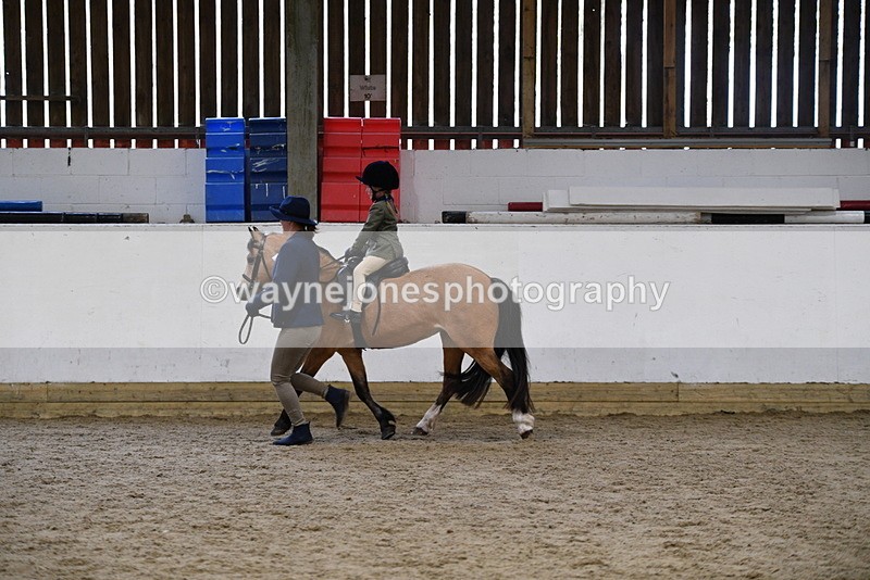 WJ5_6747 - Class 10 Childs Pony