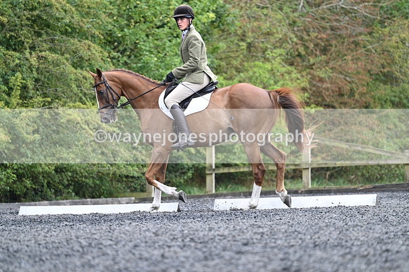 WJ7_6687 - Time 12:06 to 12:24