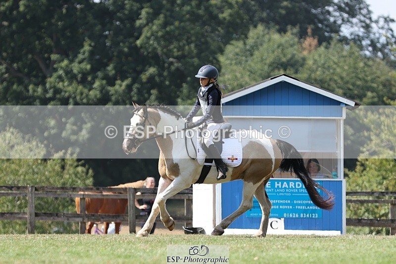 250823A-133613-31332 - Arena D