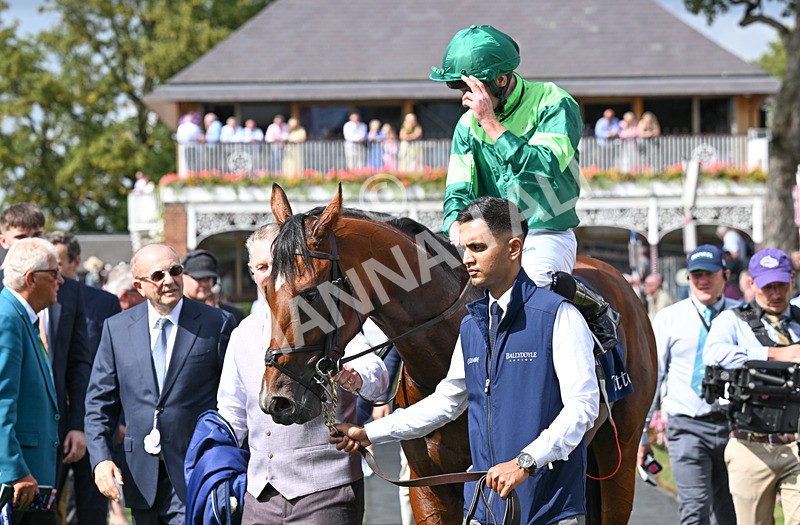 190826-055 Haffner - Race 2 14.25pm Tattersalls Acomb Stakes