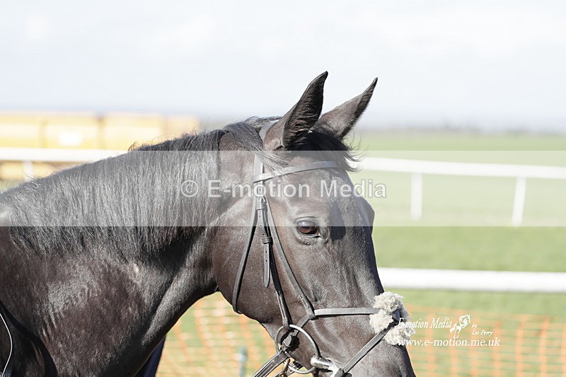 PtP 100423 1194 - Old Berkshire Point-to-Point Lockinge 10/04/23