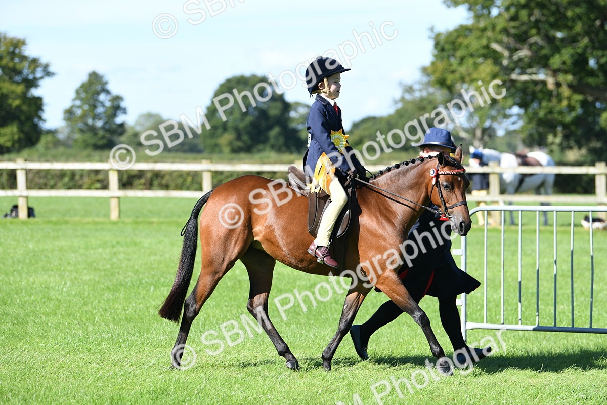 SBM_37112 - S18 - Novice & Newcomers Lead Rein Pony