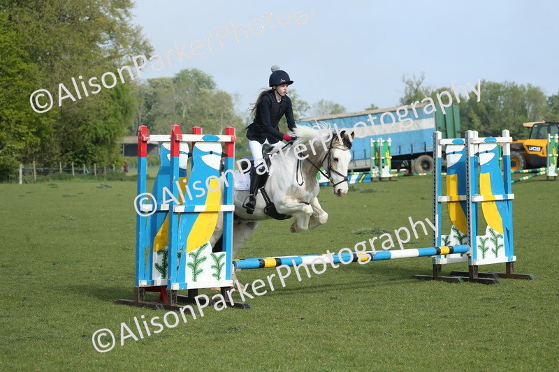20260426-0051 - Class 13 - Rookie Jumping 50cm