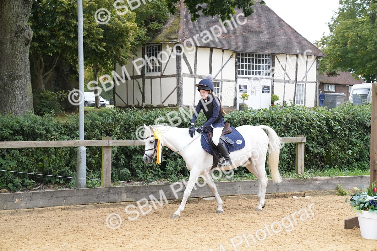 SBM_71813 - J3 - Mini Tour Junior Pony 40cm Championship