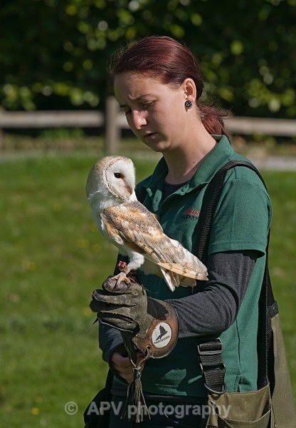 _DSC0875 - Birds of Prey Workshop
