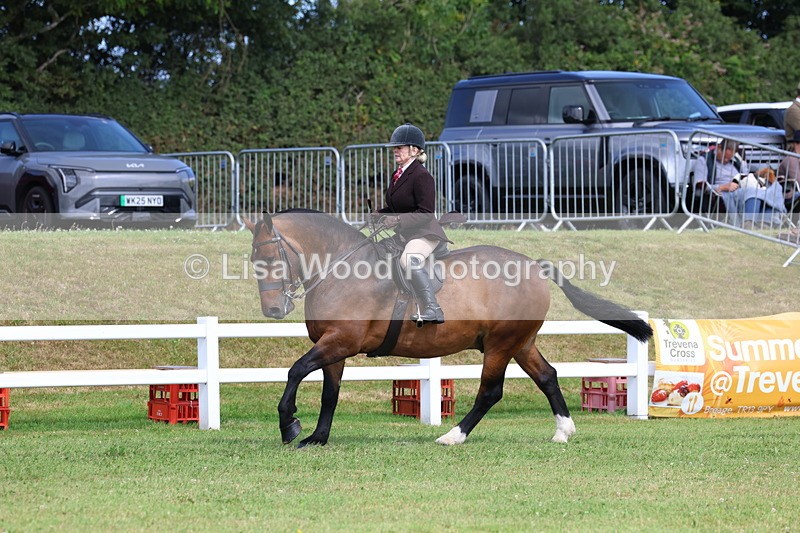 3E7A9867 - Class 5: Rising Star Lightweight/Heavyweight Cobs