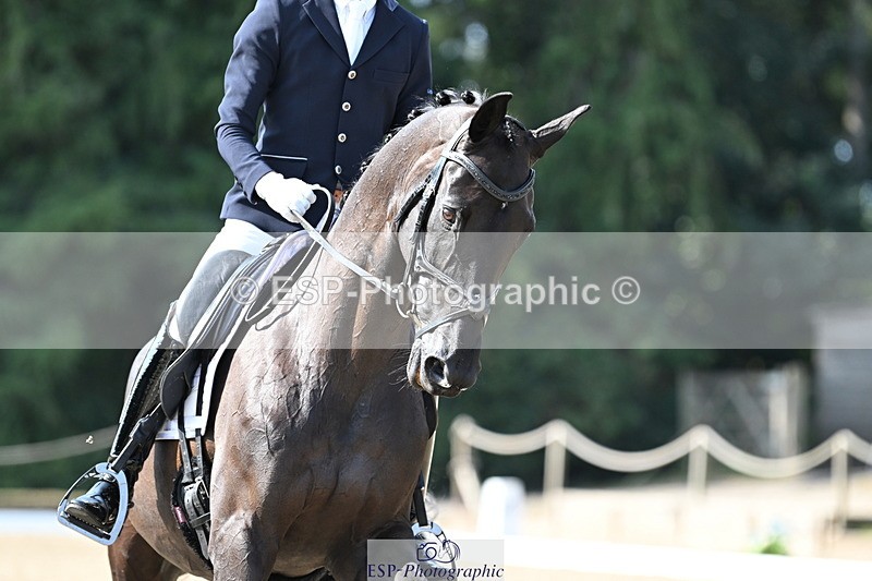 250810A-102751-05173 - 009-Ben.JamesClapton.Banks.Primadonna