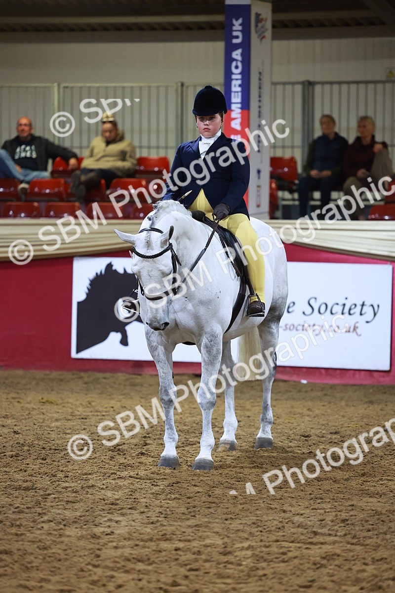 SBM_14973 - Class M - Equitation Champ