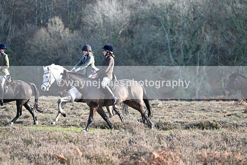 WJ7_7948 - Line 3 (no line 4 or 5)