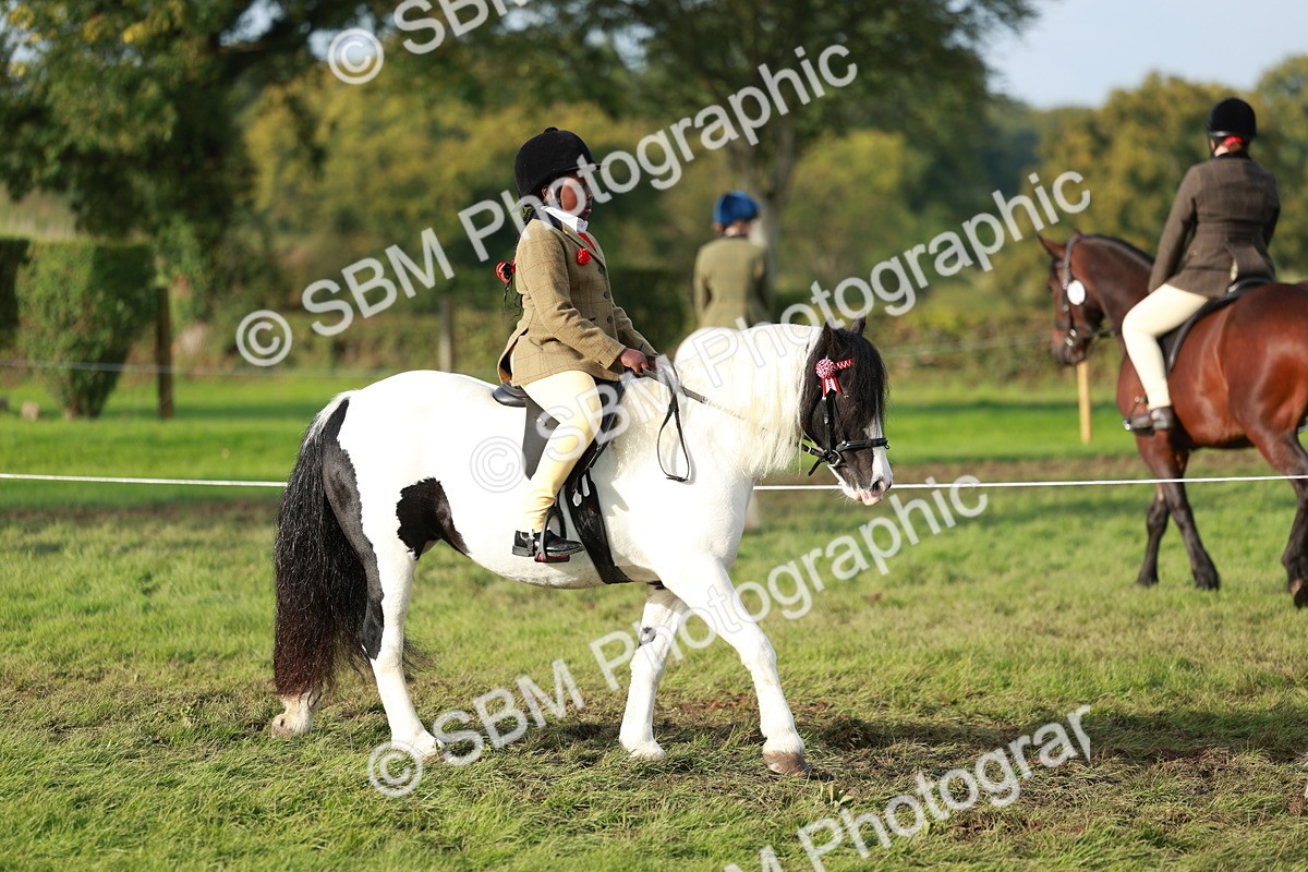 SBM_56255 - S39 - Starters In Hand Showing