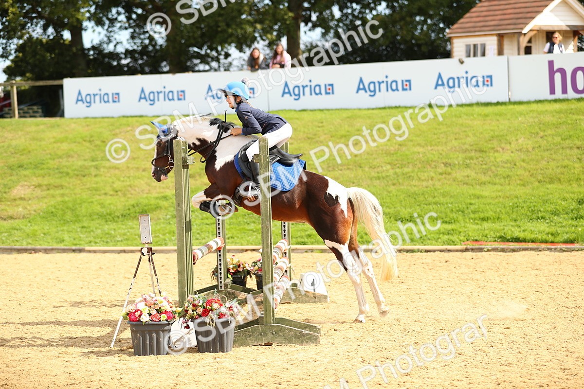 SBM_66223 - J17 - Junior Pony 80cm Championship