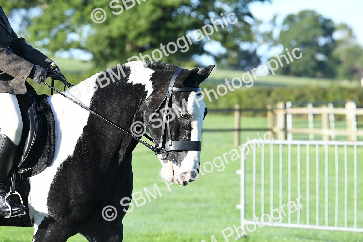 SBM_33875 - S16 - Condition & Turnout - Ridden