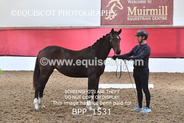 BPP_1531 - MORNING 9AM - 12PM