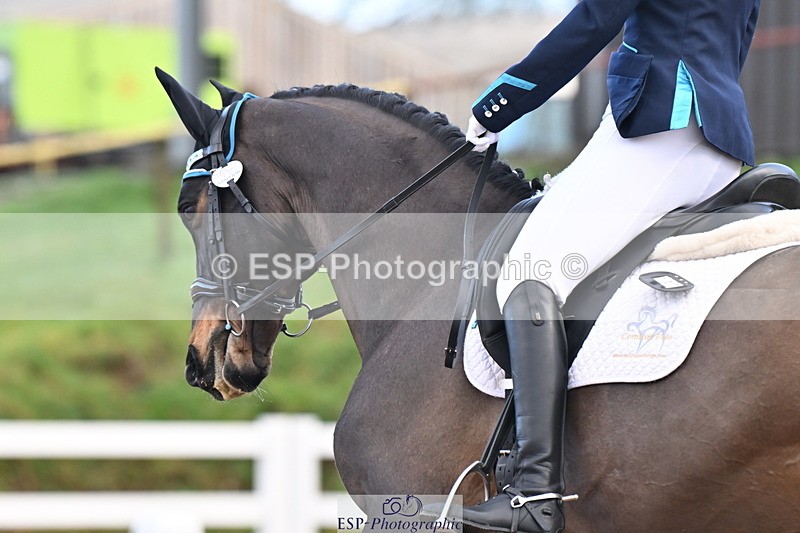 240218A-105420-05731 - 232-Alys.Matravers-VORVASHILL.VERTIGO