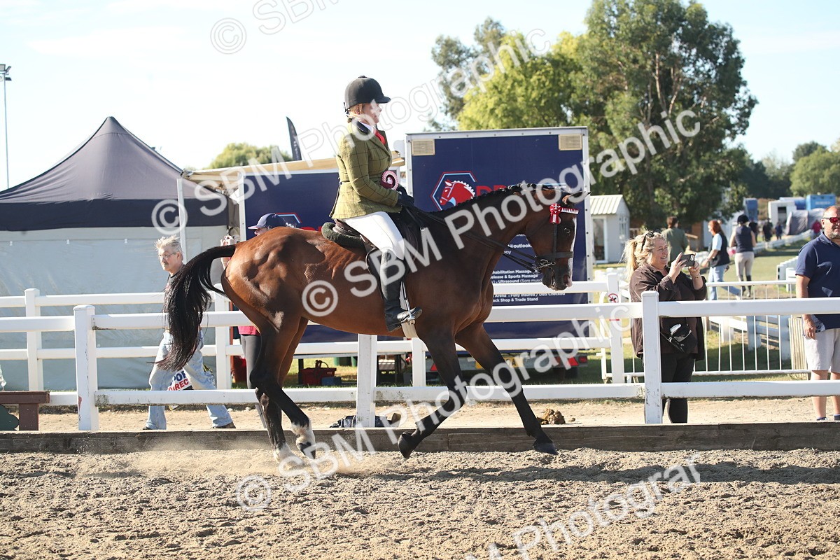 SBM_11361 - Class 501 -Riding Club Pony