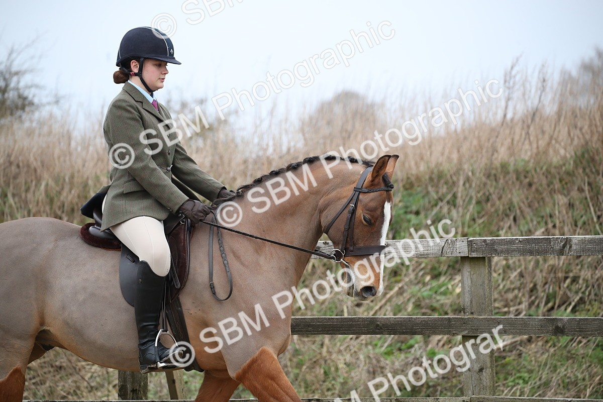 SBM_004727 - Class 5-9 - NPS In Hand-Show Hunter-Intermediate Ridden Inc Ridden Championship
