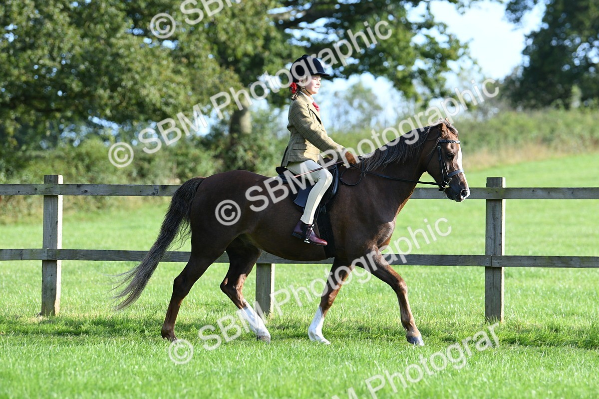 SBM_54007 - S23 - 1st Ridden Mountain & Moorland Pony