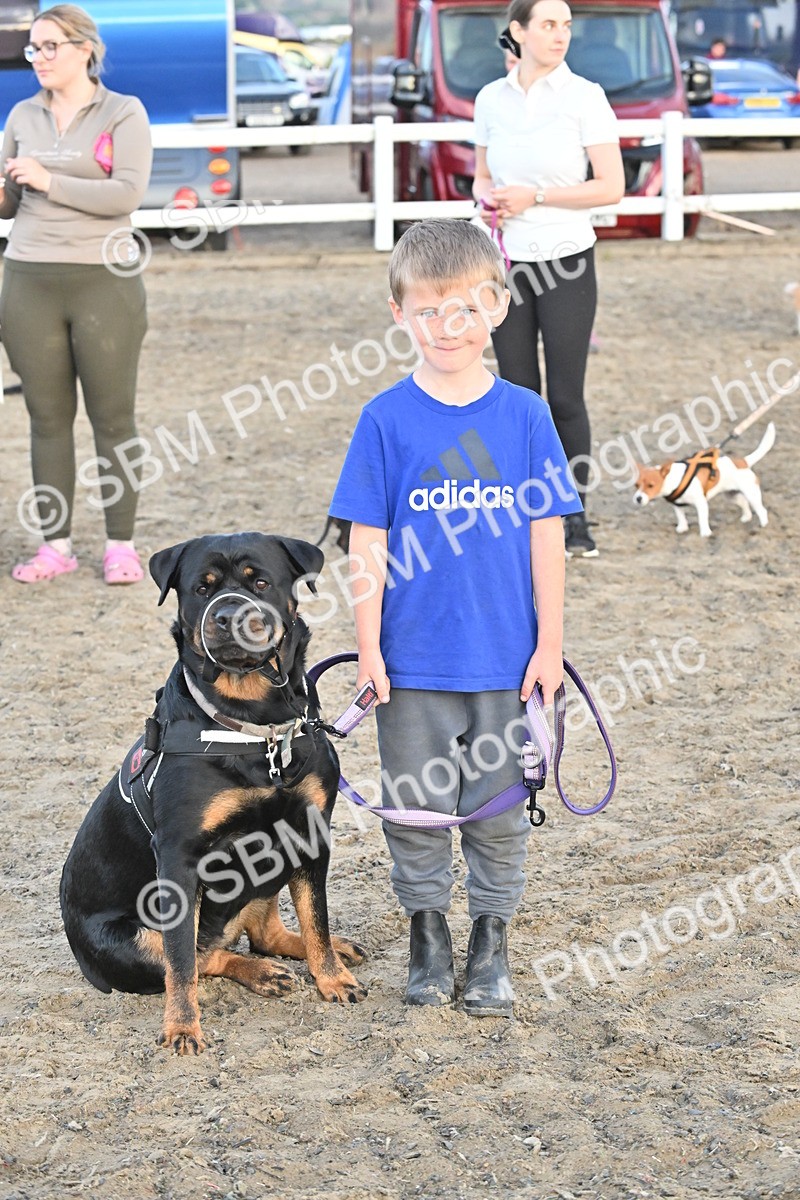 SBM_09621 - Lorry Dogs