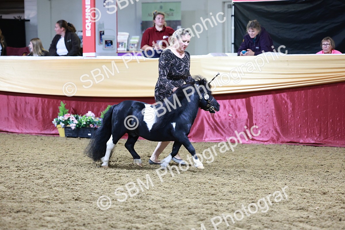 SBM_21059 - Class P - M&M Champs