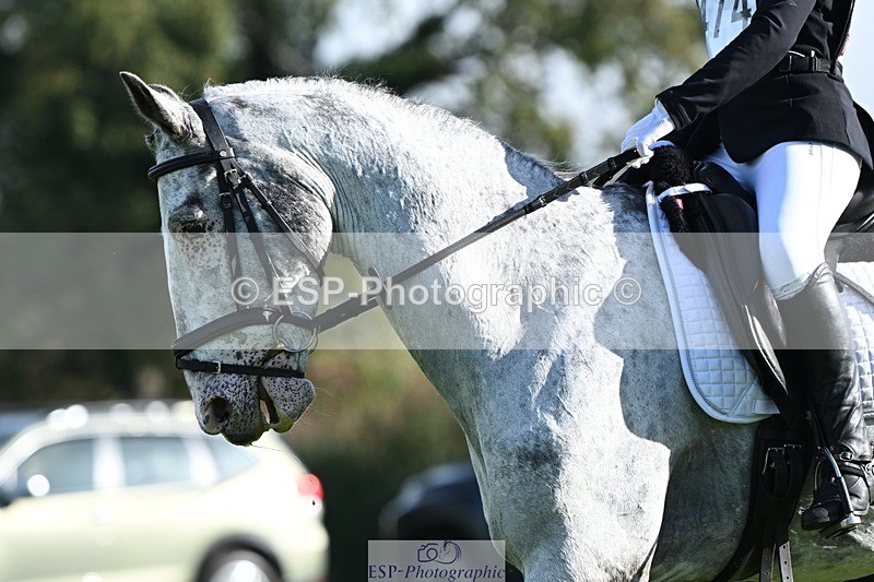 231020-105804-07478 - 474-MENELAUS-Elise.Washer-DR