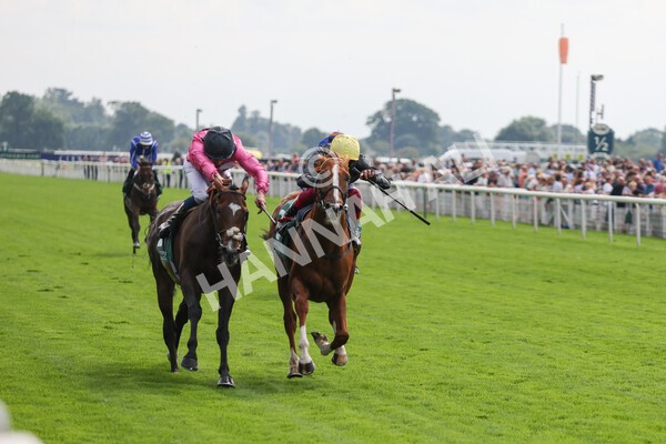 yr20082021r2-50 - Race 2 2.25pm Weatherbys Hamilton Lonsdale Cup (British Champion Series race)