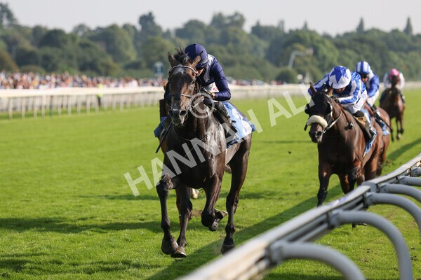 yr05092021r6-9 - Race 6 4.50pm Hanson Spring Stakes