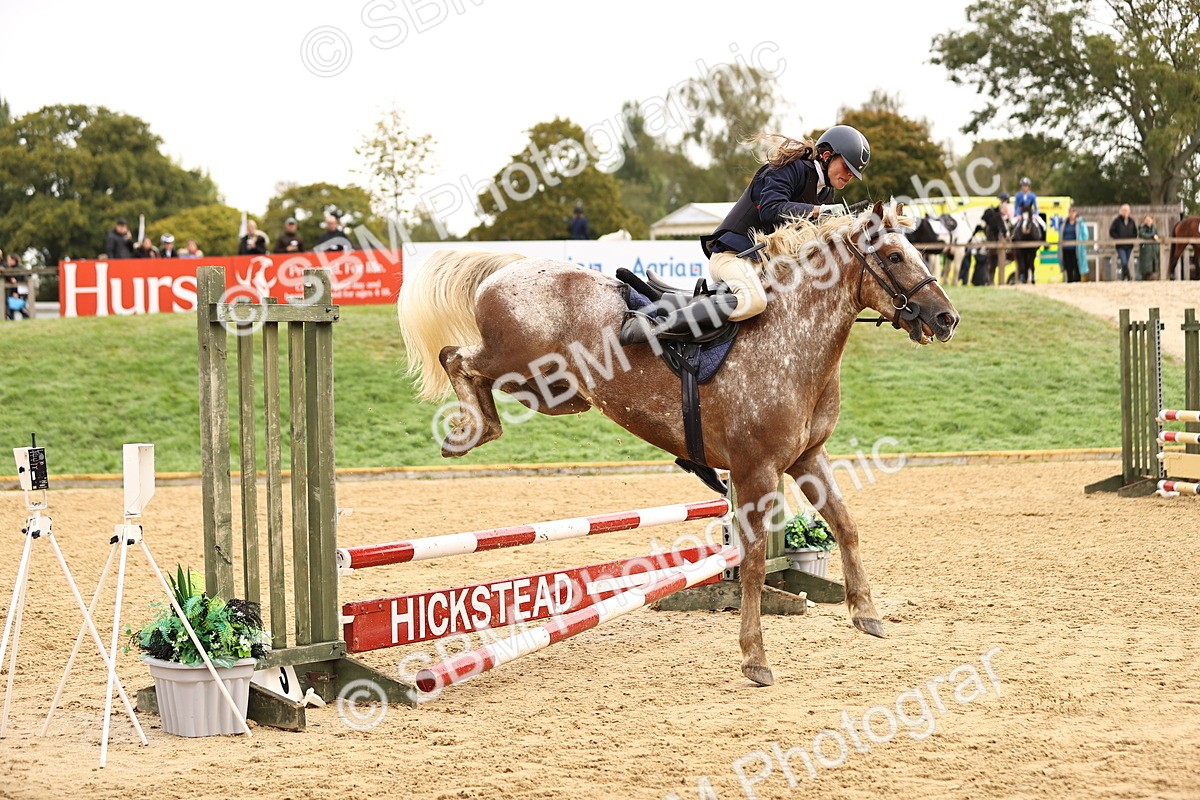 SBM_58410 - J41 - Grand Tour Horse & Pony 95cm