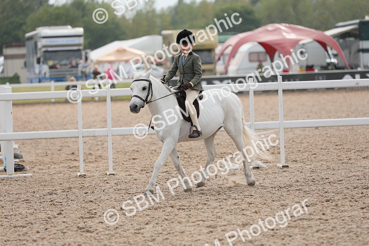 SBM_16919 - Class 314 Family Horse/Pony