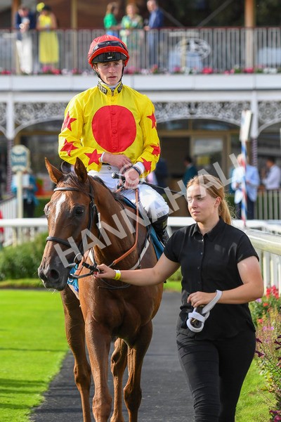 280723-Race 2-Quest For Fun-0226 - Race 2 5.30pm eventmasters.co.uk Handicap