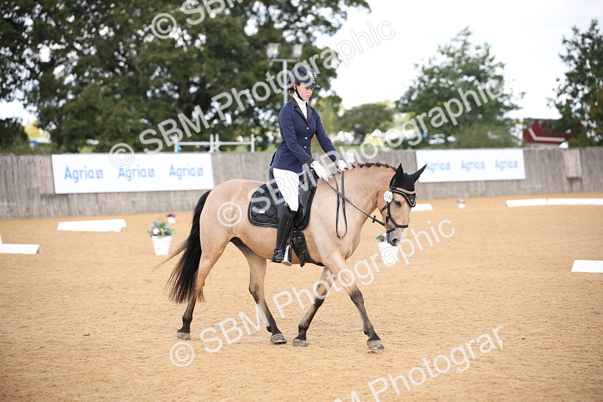 SBM_04232 - D2 Small Tour Championship Intro C