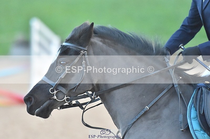 231119A-083548-04007 - Sun Clear Round