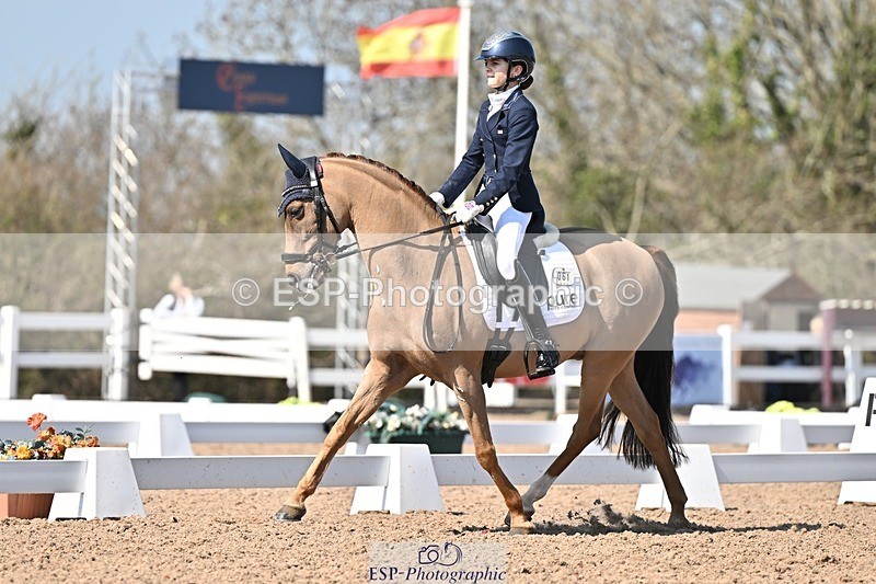 250404-133951-06436 - 061-Violet.Hawkins-DZL.Royal.Sunrise