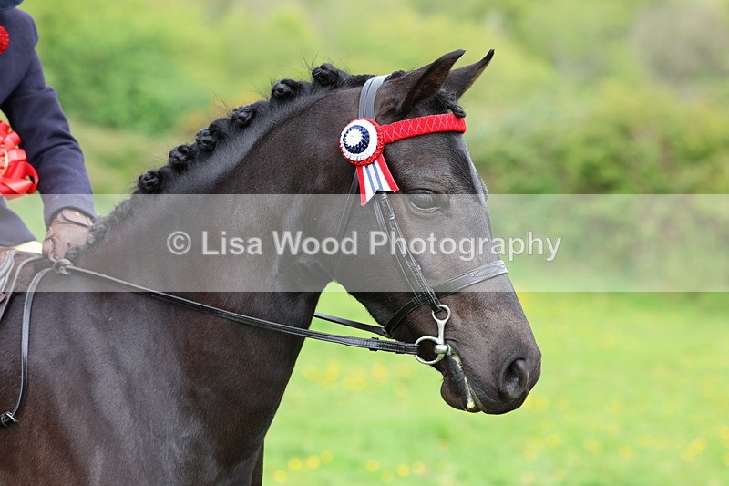 3E7A2395 - Ridden Championship