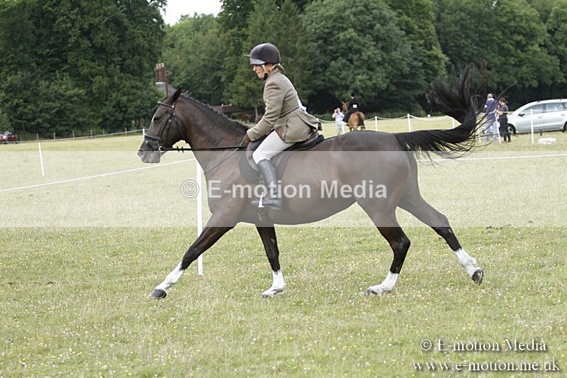 BVR160717-1843 - Ring 3 BVRC Show 16/07/17