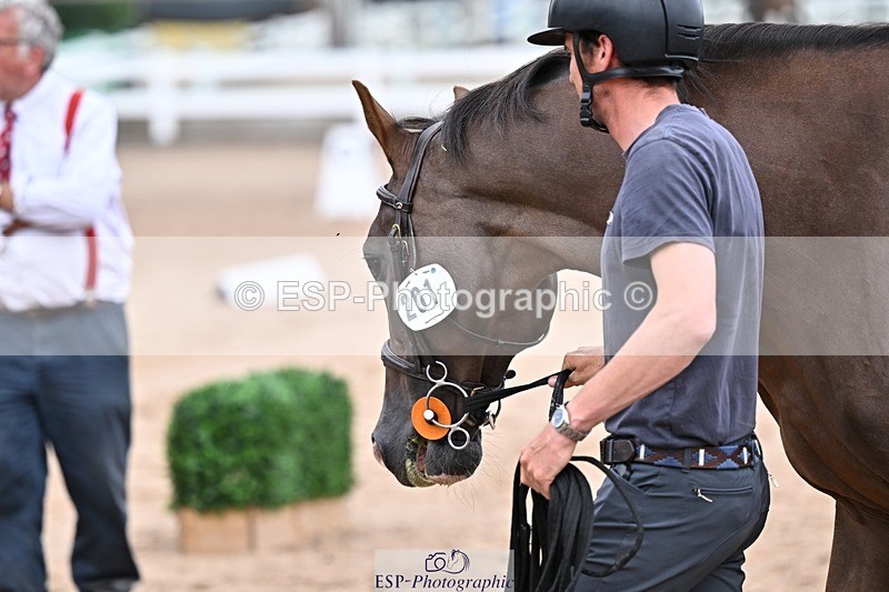 250716-164743-00765 - Trot Up 4.30 to 5.00