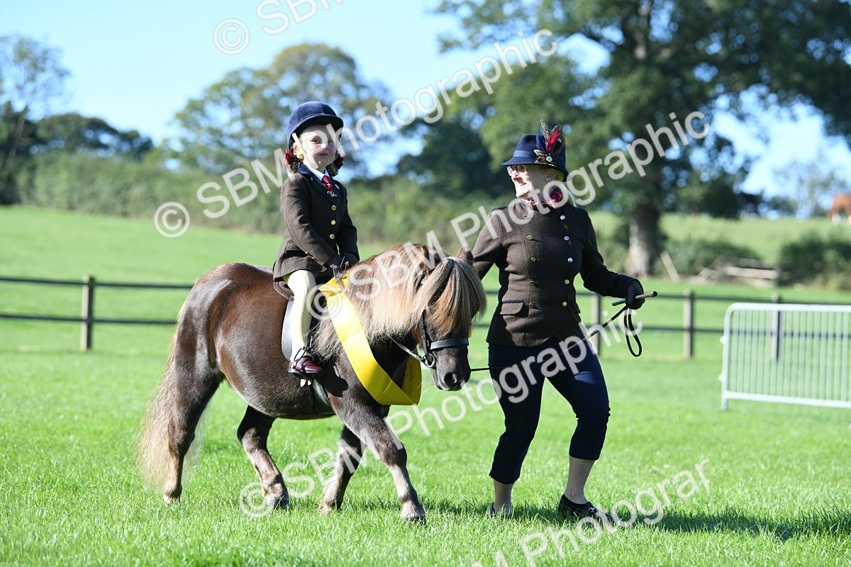 SBM_35500 - S17 - Condition & Turnout - Lead Rein