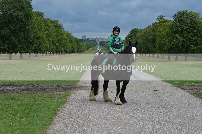 TT3_9262 - Time at Crossing 09:22 to 11:26