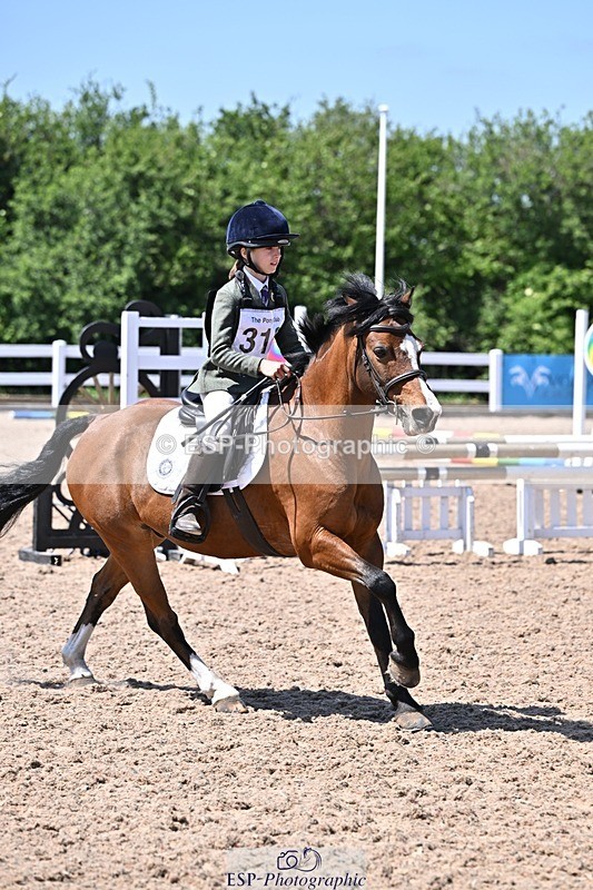 250517-132528-01338 - 50cm