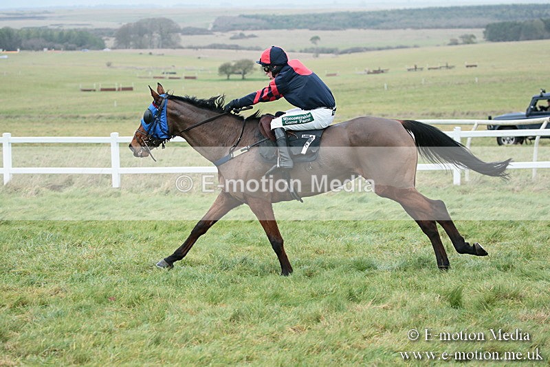 PtP 021218-196 - Hursely Hambledon Hunt Point-to-Point - Larkhill 02/12/18