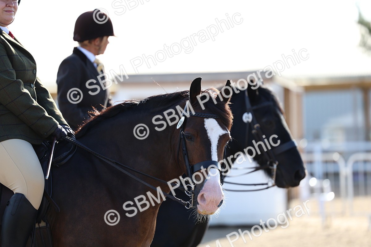 SBM_08906 - Class 302 - Ridden M&M - Large Breeds