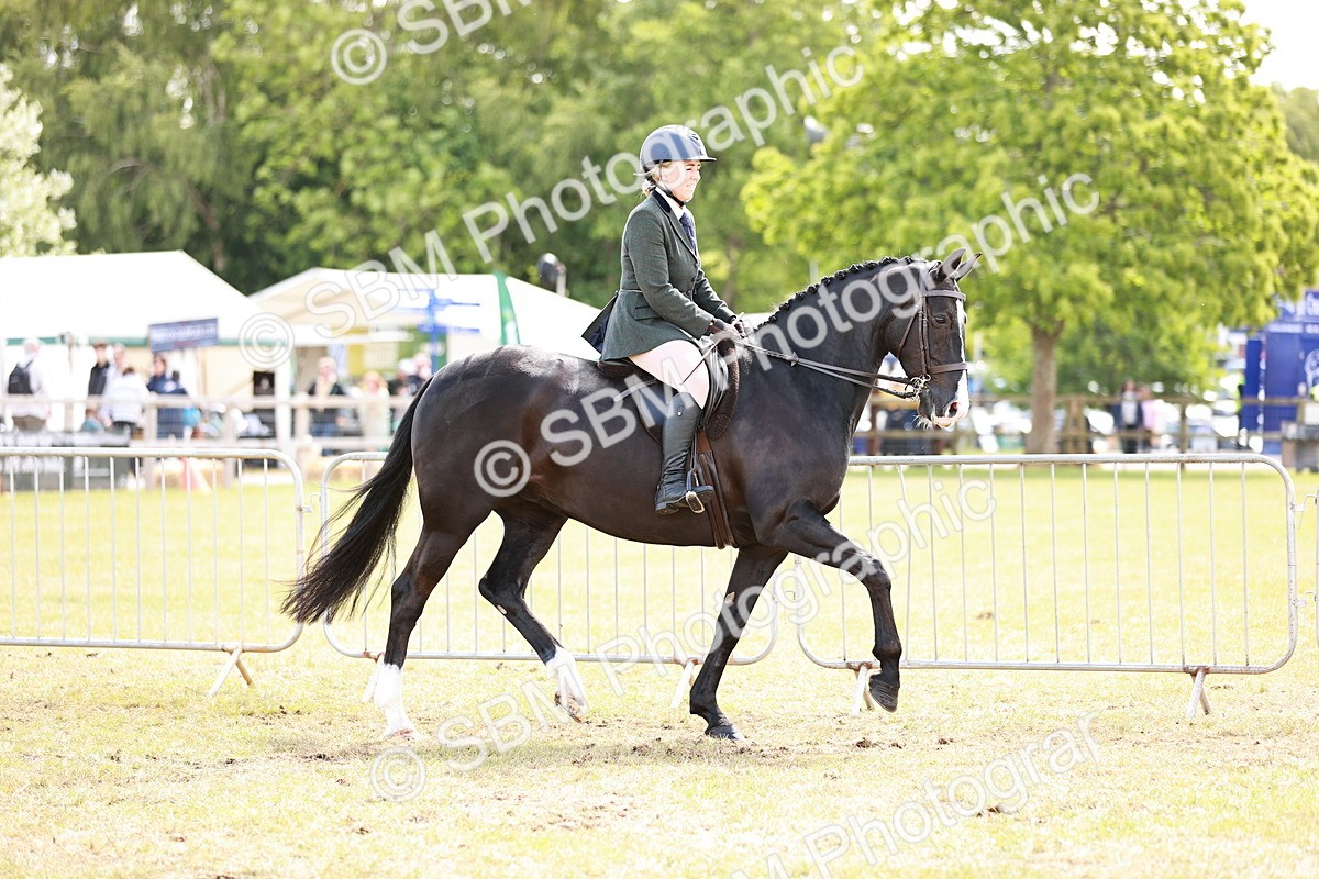 SBM_14516 - Class 88-89 - LIHS BSHA Rising Star of Ridden Hunter Type