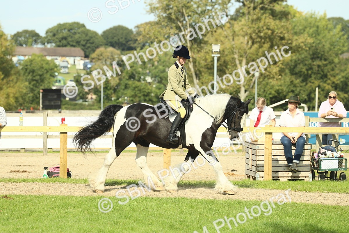 SBM_67592 - S56 - Coloured Pony Ridden