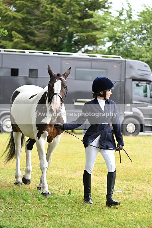 WJ7_6129 - Class 4a Prettiest Mare over 14hh