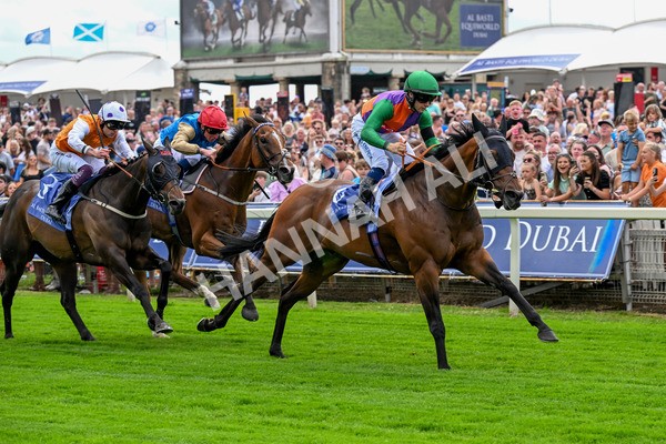 280625-Race 2-Quinault-0149 - Race 2 2.25pm Al Basti Equiworld Dubai Criterion Stakes