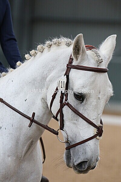 SIAL7646 - GDG Bogenraith Friday 26th Sept 2025