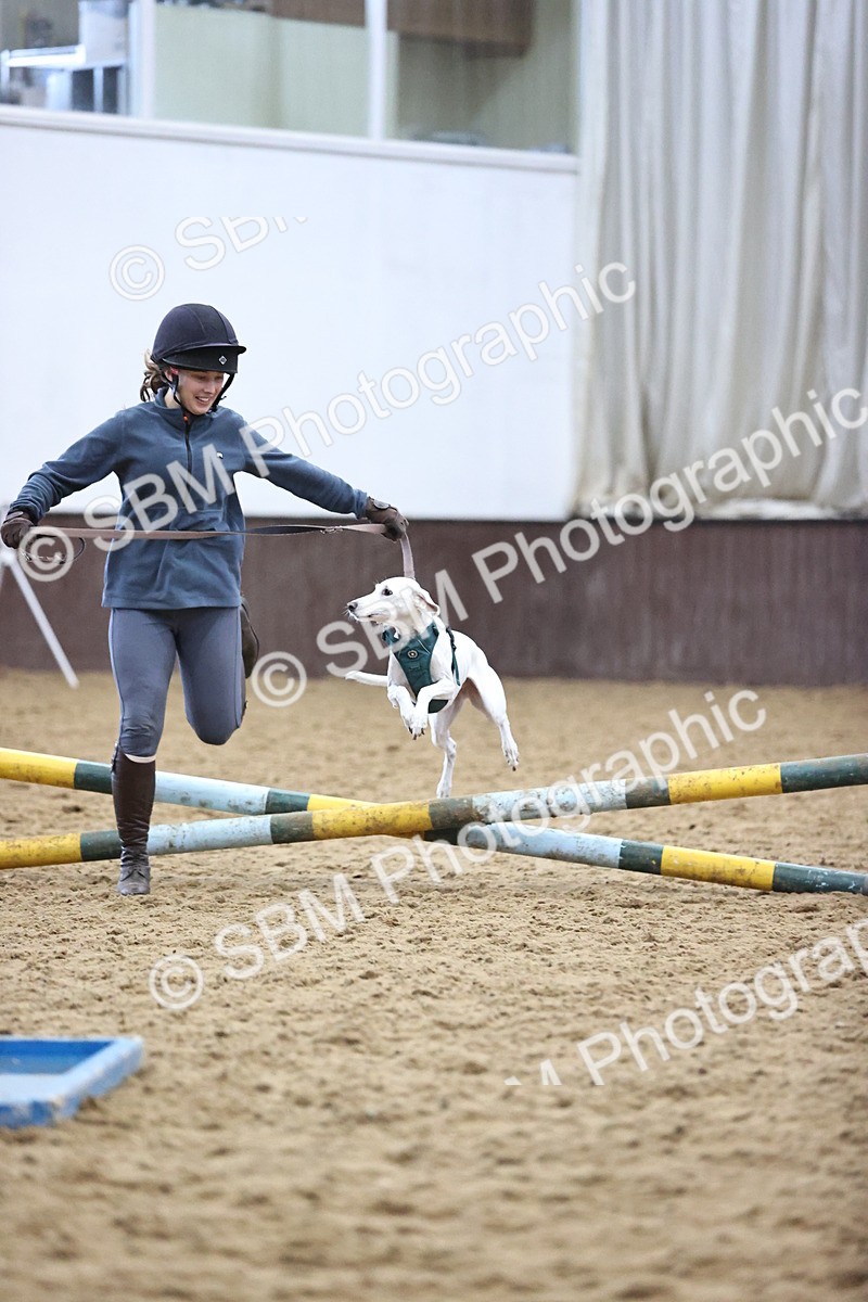 SBM_001324 - Class 3 - Horse & Hound 60cm