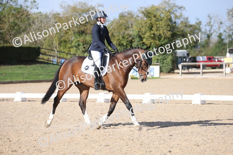 20261010-0628 - Class 5 - Novice 1