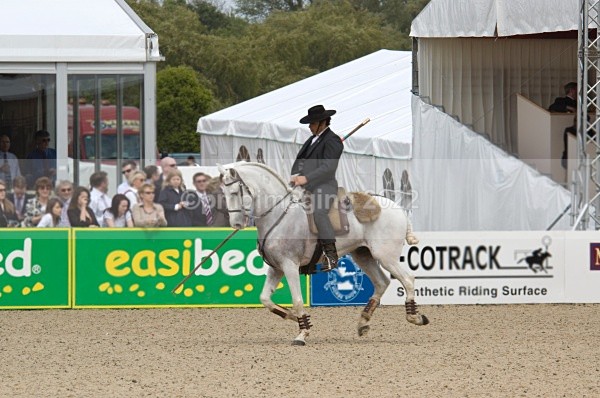  - Windsor Horse Show
